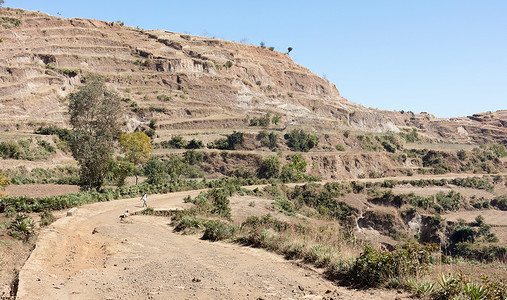 马达加斯加南部的典型景观