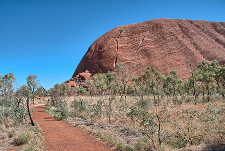 “澳大利亚内陆岩石和植被的绚丽色彩”