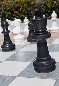 花园里户外象棋中的黑人国王