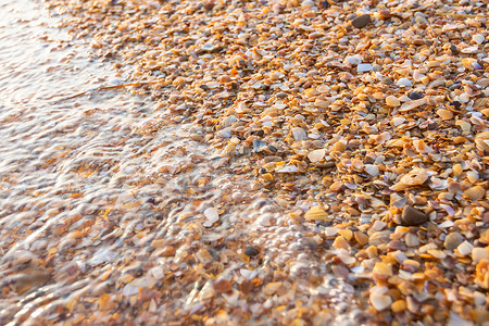 海浪冲刷着沙滩上的多色小贝壳