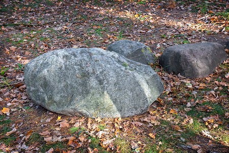 公园大石头的装饰
