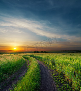 绿色田野附近乡村道路上的夕阳