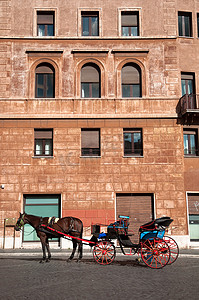 马和马车在纳沃纳广场 - 罗马 - 意大利