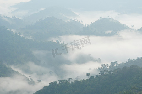 旅行青蛙旅行摄影照片_晨雾笼罩树山