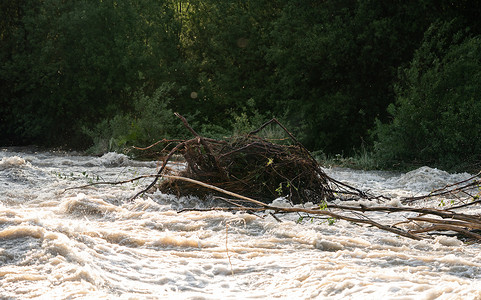 小树河流摄影照片_太阳照在河流中迅速流动的肮脏洪水上，带走了一些有根的小树