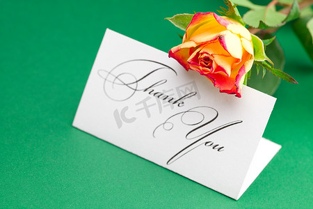 玫瑰和卡片在绿色背景上签名谢谢
