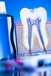 口腔保健、工具牙医