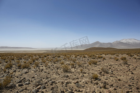 俯瞰沙漠摄影照片_Farallon de Tara，俯瞰盐湖的高原，Salar d