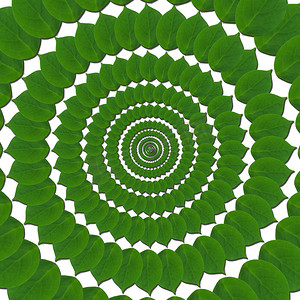 凸面摄影照片_叶子的绿色圆圈