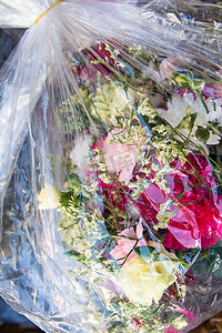 康乃馨花、塑料袋中的满天星花、垃圾、花市、特写&