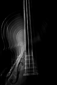 黑色线条抽象摄影照片_黑白抽象小提琴