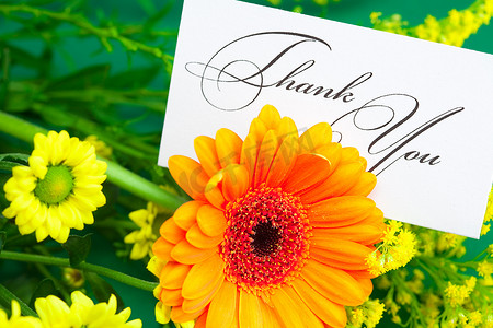 “非洲菊、黄色雏菊和在绿色背景上签名的感谢卡”
