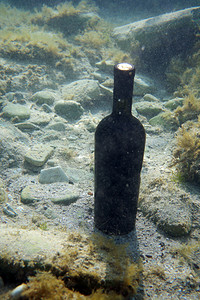 一瓶酒在水下。