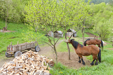 波斯尼亚和黑塞哥维那的乡村