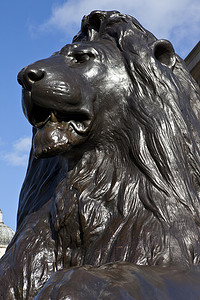 特拉法加广场狮子