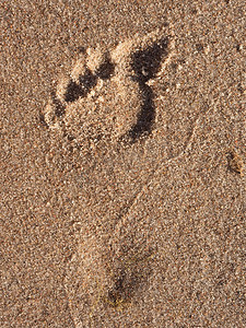 单脚印摄影照片_女人在湿沙滩上的单脚印