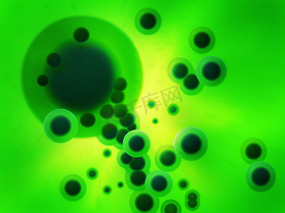 绿色细胞形成