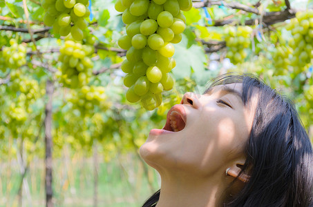 妇女在葡萄园里吃绿葡萄