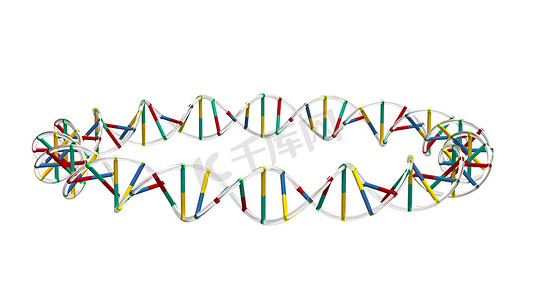 圆圈中的 DNA