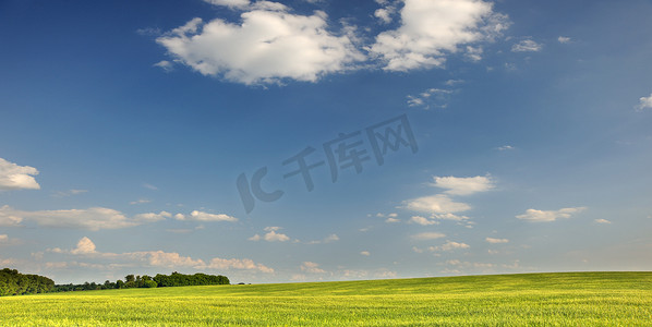 田野摸鱼摄影照片_绿色的田野和深蓝的天空