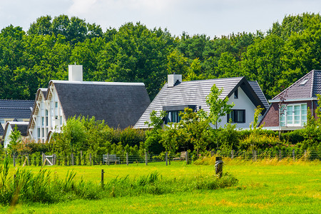 荷兰 Bergen op zoom 的现代乡村房屋，带草地牧场，典型的荷兰房屋