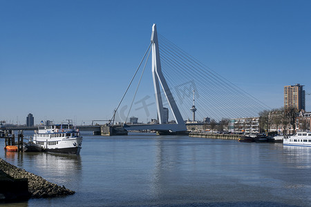 鹿特丹天际线与 Erasmusbrug 桥在日落时分在早上我