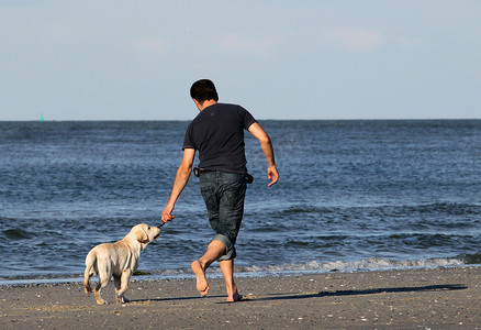 黄色小狗狗摄影照片_一个男人和一只拉布拉多小狗在海滩上