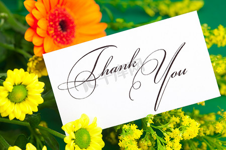 “黄色雏菊、非洲菊和在绿色背景上签名的感谢卡”