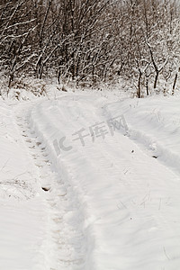 雪地上的车轮印