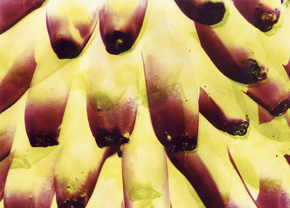 抽象的香蕉