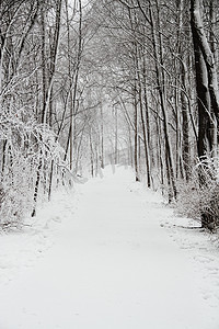 积雪径