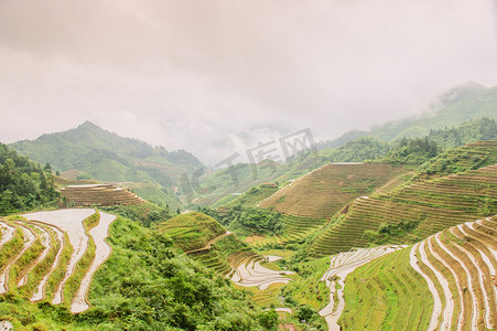 梯田和山，雾，