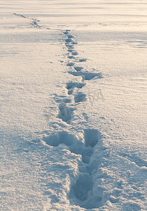 雪地里的脚印