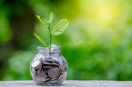 钱瓶钞票树上面有植物生长的钞票图像，用于商业绿色自然背景省钱和投资金融概念