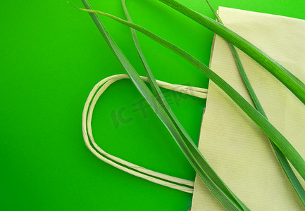 绿色背景下草本植物的纸购物袋生态顶视图平面位置、零废物生态概念和世界环境日