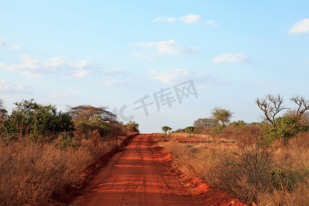 肯尼亚的非洲公路
