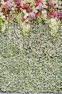 五颜六色的花朵与绿色的墙壁作为婚礼背景
