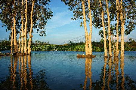 美妙的风景，越南乡下，湄公河三角洲