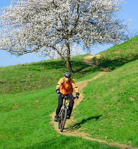 人在青山在摄影照片_骑自行车的人在有美丽的树的青山上骑自行车