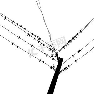 矢量剪影燕子躺在电线上
