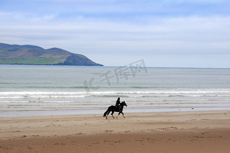 金兰湾摄影照片_maharees 上的马和骑手