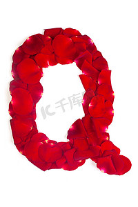爱情语言摄影照片_由红色花瓣制成的字母 Q 在白色的玫瑰上