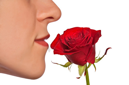 嗅到红玫瑰的年轻女人