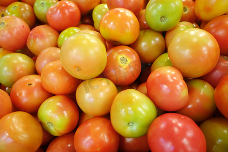 吐鲁番西红柿摄影照片_红番茄