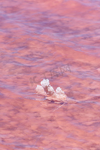 西澳大利亚格雷戈里附近粉红湖浅粉色水中的盐晶体