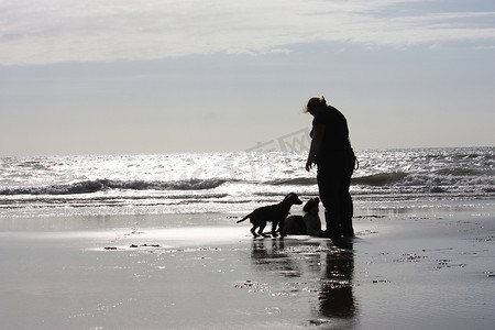 发光太阳摄影照片_一个人带着两条狗在阳光下闪闪发光的沙滩上