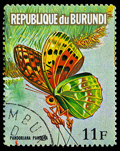 布隆迪共和国 — 大约 1974 年：布隆迪印制的邮票展示了一只蝴蝶 Pandoriana Pandora，系列，大约 1974 年