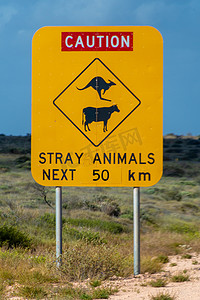 在澳大利亚 50 公里路标旁边小心流浪动物