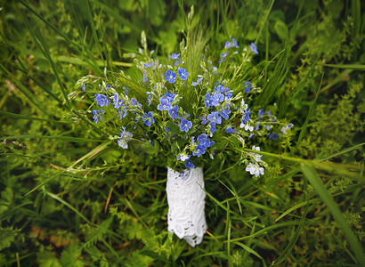 蓝色花束躺在绿草上