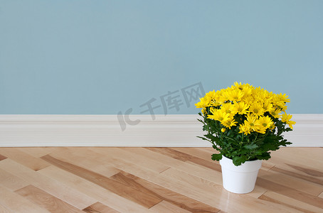 装饰房间的黄色雏菊
